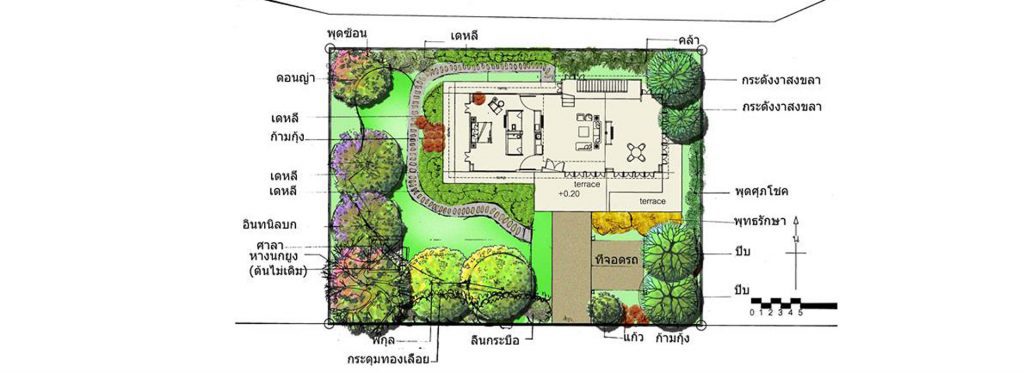 ผลงานนักเรียน 1-เรียนจัดสวน-ออกแบบจัดสวน-เรียน landscape design